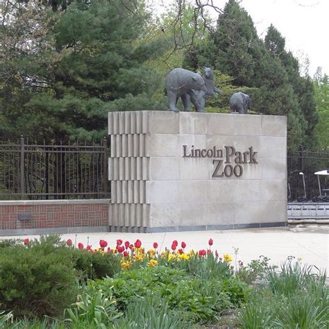 Lincoln Park Zoo Announces Reopening Date Changes Nbc Chicago