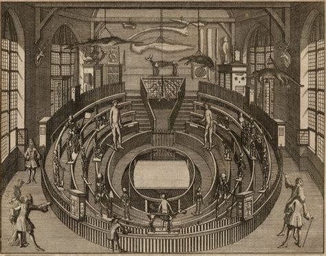 Pieter Van Der Aa 1659 1733 The Anatomy Theatre Of Catawiki