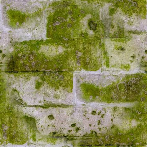 Seamless Old Stone Brick Wall With Mold And Moss Texture Background