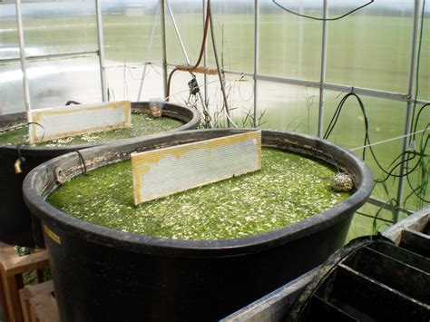 Researchers Identify Cheaper Greener Biofuels Processing Catalyst