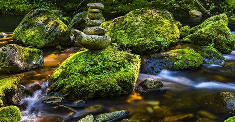 Rocks Covered With Moss · Free Stock Photo