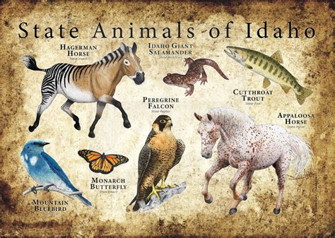 Idaho State Animals Poster Print Etsy Animal Posters Animals
