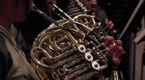 10 Best French Horn Players Of All Time Record Head