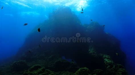 Huge Underwater Mountain In Blue Light Stock Photo Image Of Dream