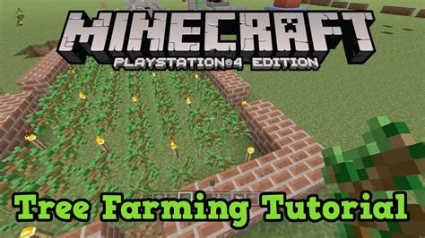 Minecraft Ps3 Ps4 Xbox Tree Farming Guide Tutorial 1010 Youtube
