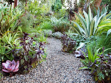 Edible Landscape Ideas Sunset Magazine