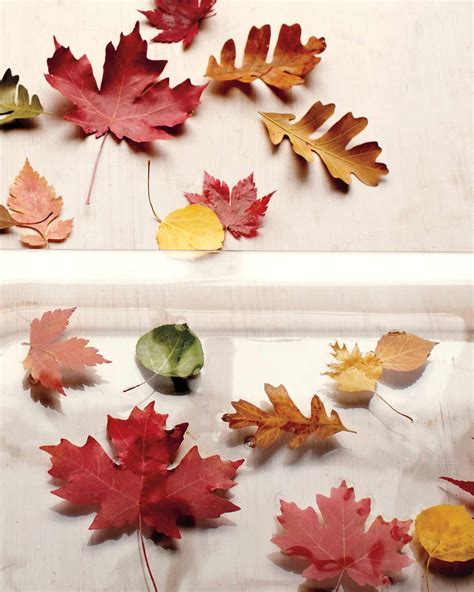12 Leaf Crafts That Celebrate All The Colors Of Fall Martha Stewart