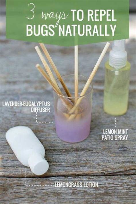 Natural repellent | Bug repellent, Diy natural products, Oils