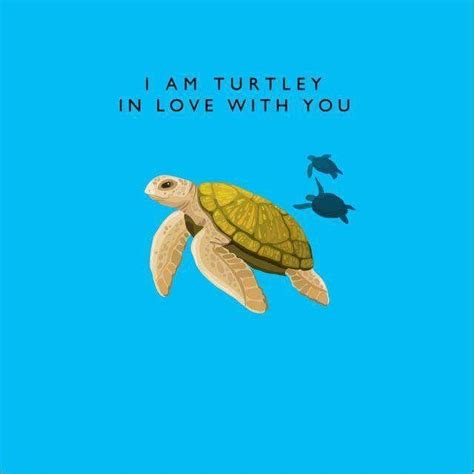 Turtle Quotes Turtle Love Cute Turtles