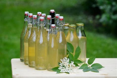 Holunderblüten sind nicht nur unwahrscheinlich lecker, sie sind zudem auch noch sehr gesund. Holunderblütensirup selber machen | Holunderblütensirup ...