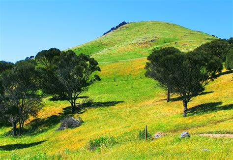 Free Images Landscape Tree Grass Wilderness Light Field