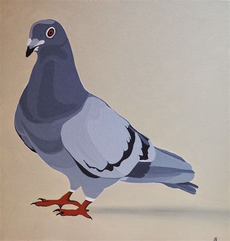 Art Travel And Other Bits Animal Portraits Art Bird Art Cute Pigeon