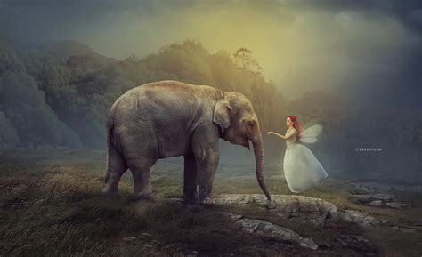 Making White Fairy And Elephant Manipulation Scene Effect In Photoshop