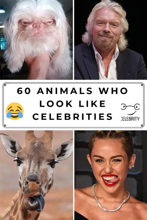 57 New Celebrity Animal Look A Likes Prove People Look Like Animals