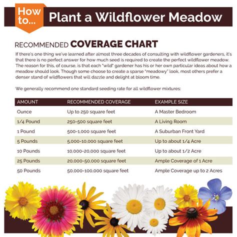 Midwest Wildflower Seed Mix Eden Brothers