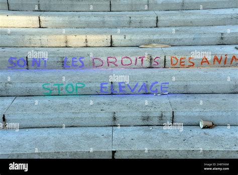 Animal rights hypocrisy hi-res stock photography and images - Alamy