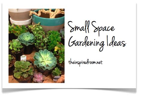 Terrariums And Other Small Space And Urban Gardening