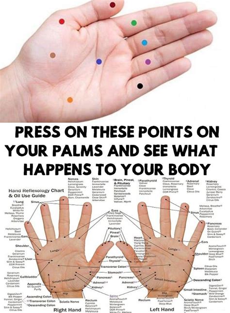 Palms Press On These Points On Your Palms To Combat Diseases