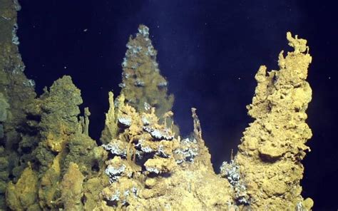 Deep Sea Vents Had Ideal Conditions For Origin Of Life Ucl News Ucl