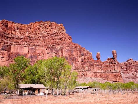 Native American View Of The Grand Canyons Centennial Celebration Asu