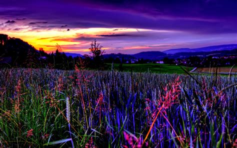 Amazing Beautiful Purple Sky Nature Fields Hd Desktop Wallpaper