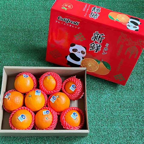 Jp Califresh Jelly Oranges 891213 Pcs Panda Red Box Level Five