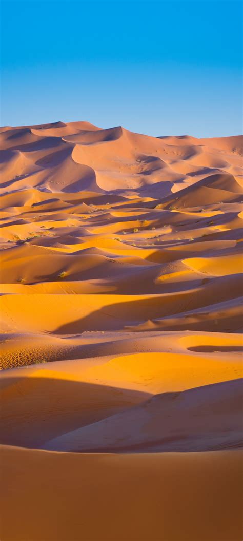 Sahara Desert 4k Wallpaper Merzouga Morocco Sand Dune Blue Sky Sunny Day 5k World 2122