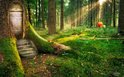 Learning Gateway Descriptive Essay An Enchanted Forest