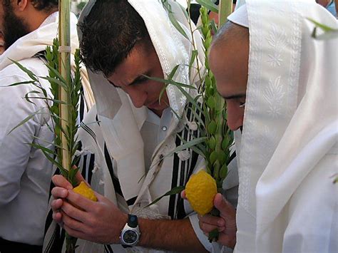 The Universal Festival Of Sukkot With Images Sukkot Feast Of