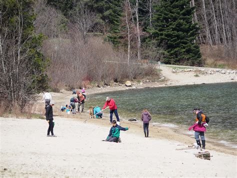 Over 85 Volunteers Making A Difference On Kootenay Lake Shorelines