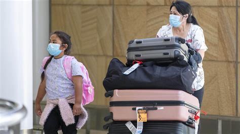 Officials have said that flights would be suspended from any australian state or territory if authorities there ordered a local lockdown. NZ Australia travel bubble: Flights resume after COVID scare