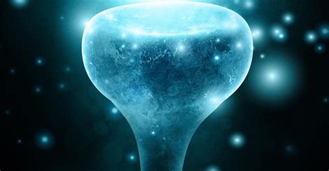 Neurons to Nirvana - movie: watch streaming online