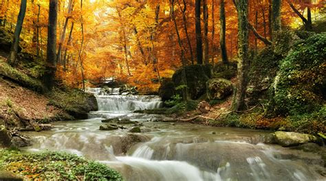 Waterfall By Autumn Trees Forest Landscape Wall Mural Nature Photo Wallpaper Ebay