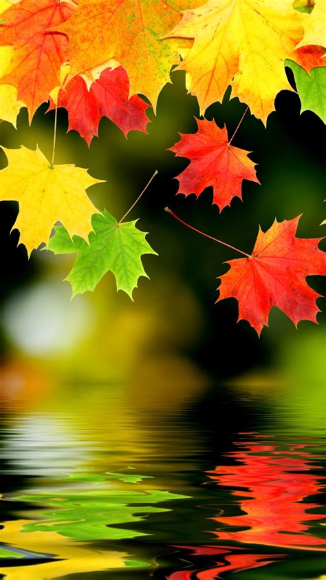 Download Fall Mobile Wallpaper Gallery