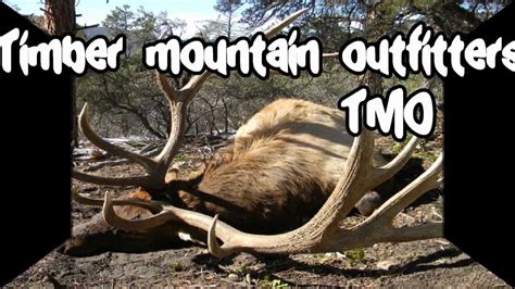 Monster Bull Elk Highlight Clips From Utah By Tmo Youtube