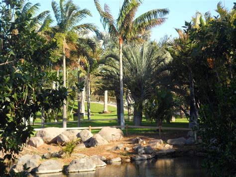 Teneriffa california wasser strand architektur himmel meer ozean kanaren. Palmetum de Santa Cruz de Tenerife - Wikiwand
