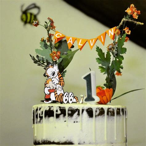 Calvin And Hobbes Cake 10th Birthday Parties 1st Birthday Cake