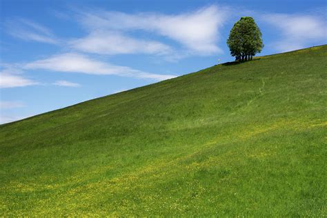 Green Rolling Hills Photograph By Ingo Scholtes