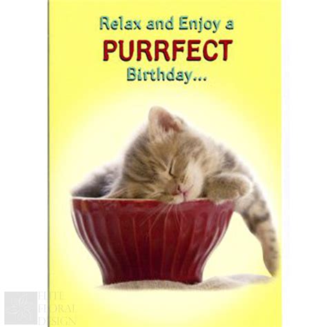 Happy Birthday Greeting Card Relax And Enjoy A Purrfect Kitten In