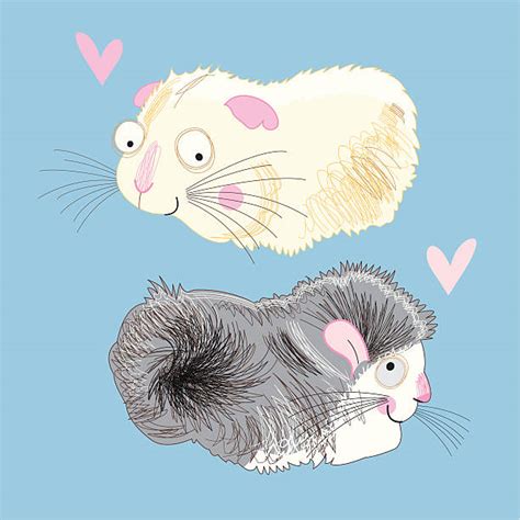 Hamster Pic Silhouette Illustrations Royalty Free Vector Graphics