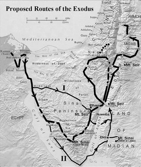 Proposed Routes Of The Exodus The Thick Black Line Represents The