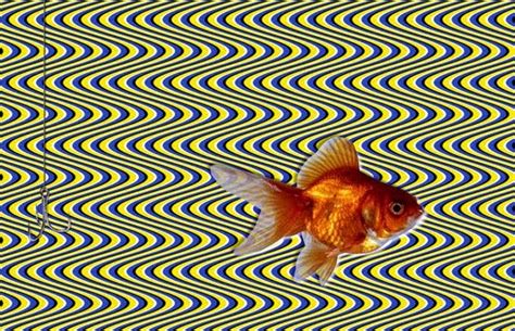 50 Optical Illusions To Trick Your Eyes ~ Unusual Things