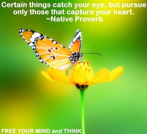The caterpillar does all the work but the butterfly gets all the publicity. Quotes About Flowers And Insects. QuotesGram