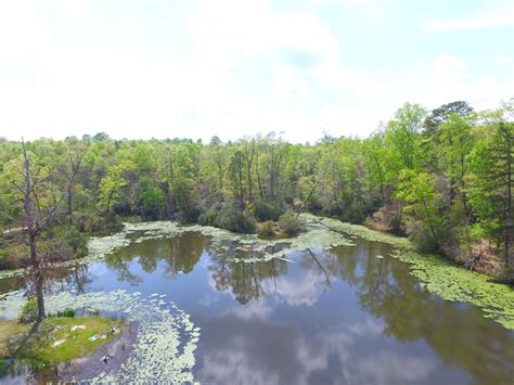 Adjoining 20 Acre Tracts With Large Pond Near Hwy 101 Metcalf Land