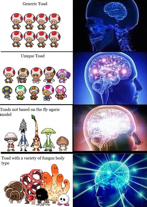 Toad Variety Meme Paper Mario Know Your Meme