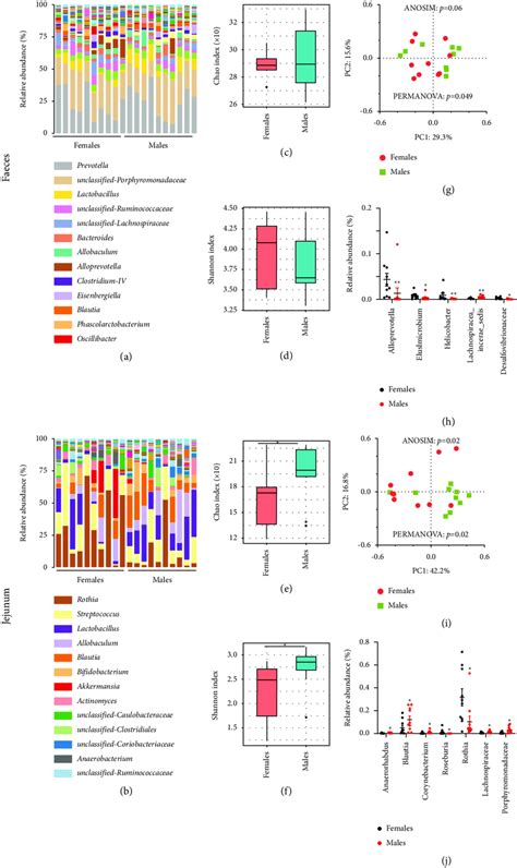 Sex Differences Of The Gut Microbiota Composition In Sd Rats A B E Download Scientific