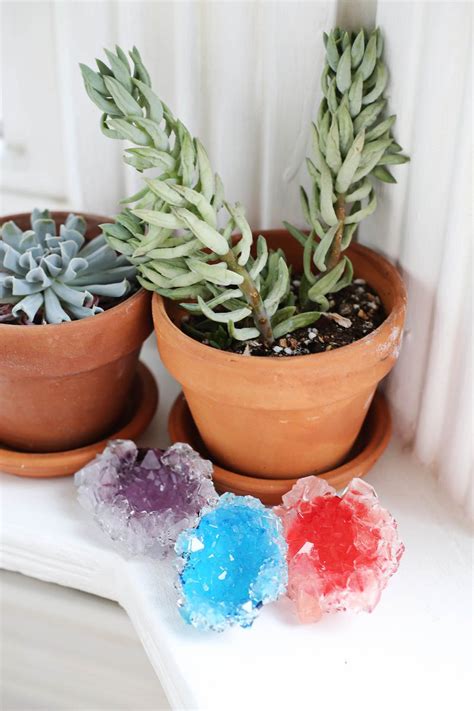 How To Grow Your Own Crystals A Beautiful Mess