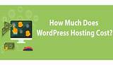 How Much Does Website Hosting Cost Pictures