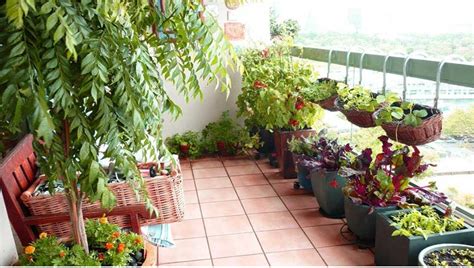 Apartment Patio Vegetable Garden A How To Guide
