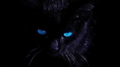 Dark Cat Wallpapers Top Free Dark Cat Backgrounds Wallpaperaccess